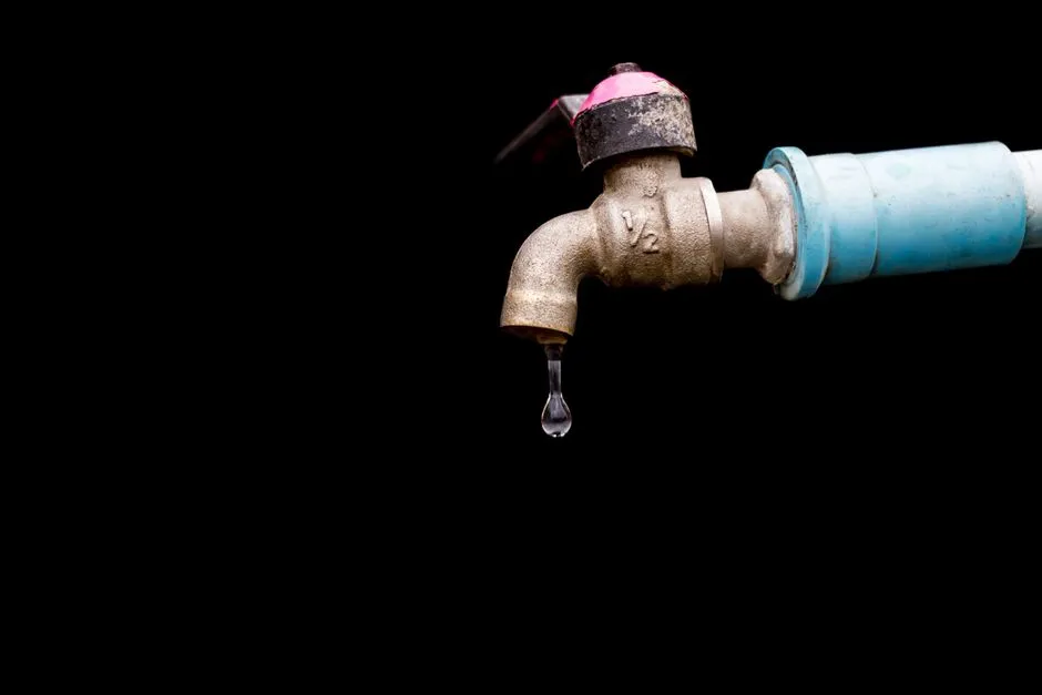 5 Common Causes of Drain Leaks in Springfield Buildings and How to Find Them