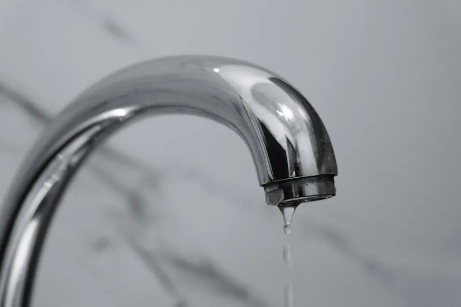 Electronic Water Leak Detection in Central Springfield