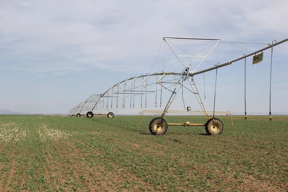 Leak Detection for Irrigation Systems in Beverly Forest