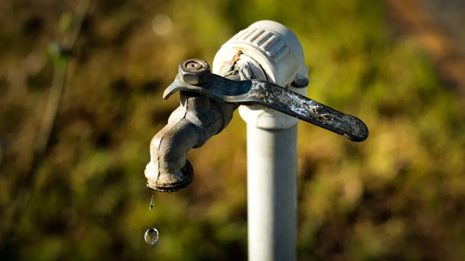 Leak Detection for Irrigation Systems: Why Fairfax County Lawns Develop Hidden Leaks