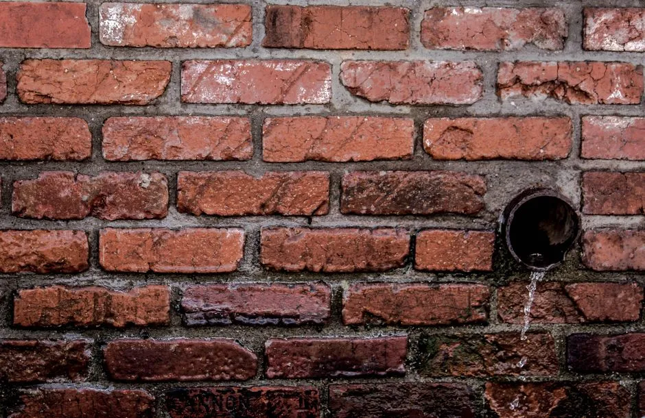 Moisture Detection Services in Springfield, VA