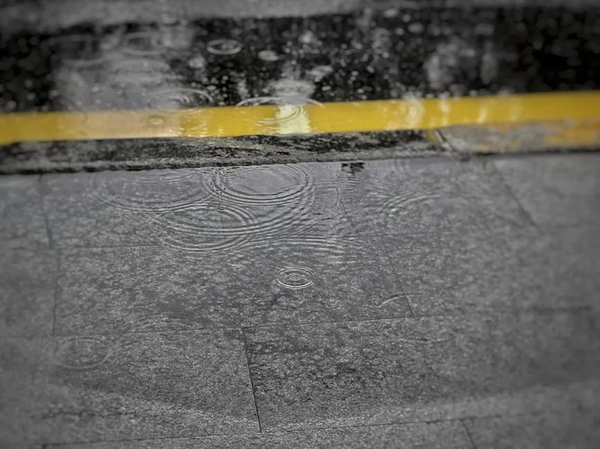Moisture Detection Services Springfield VA