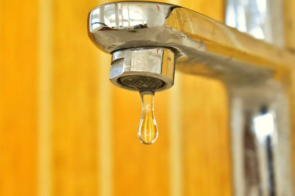 Why Professional Gas Leak Detection Is Essential for Springfield Homes
